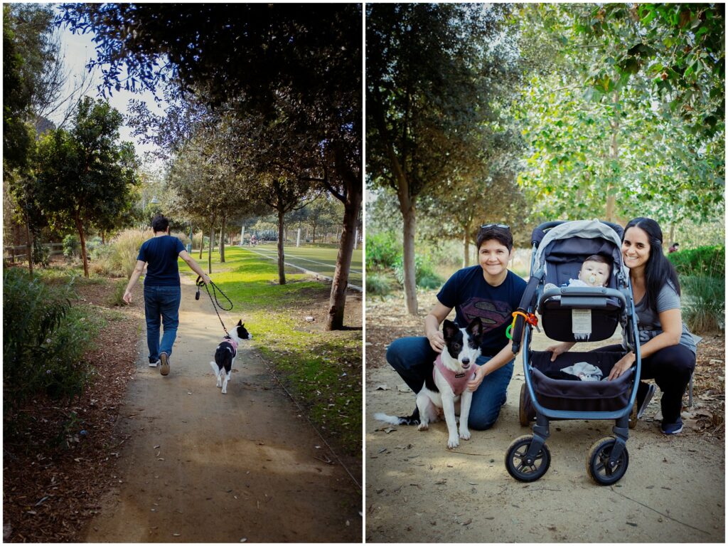 A photo collage with two photos: the first of a woman walking her dog at the park, they walk away from the camera, the second photo a family portrait of two moms, their baby, and their puppy, taken at the park. 