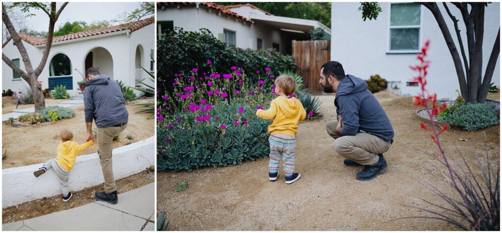 A photo collage with two images of a dad and his adoptive son exploring a garden together. 