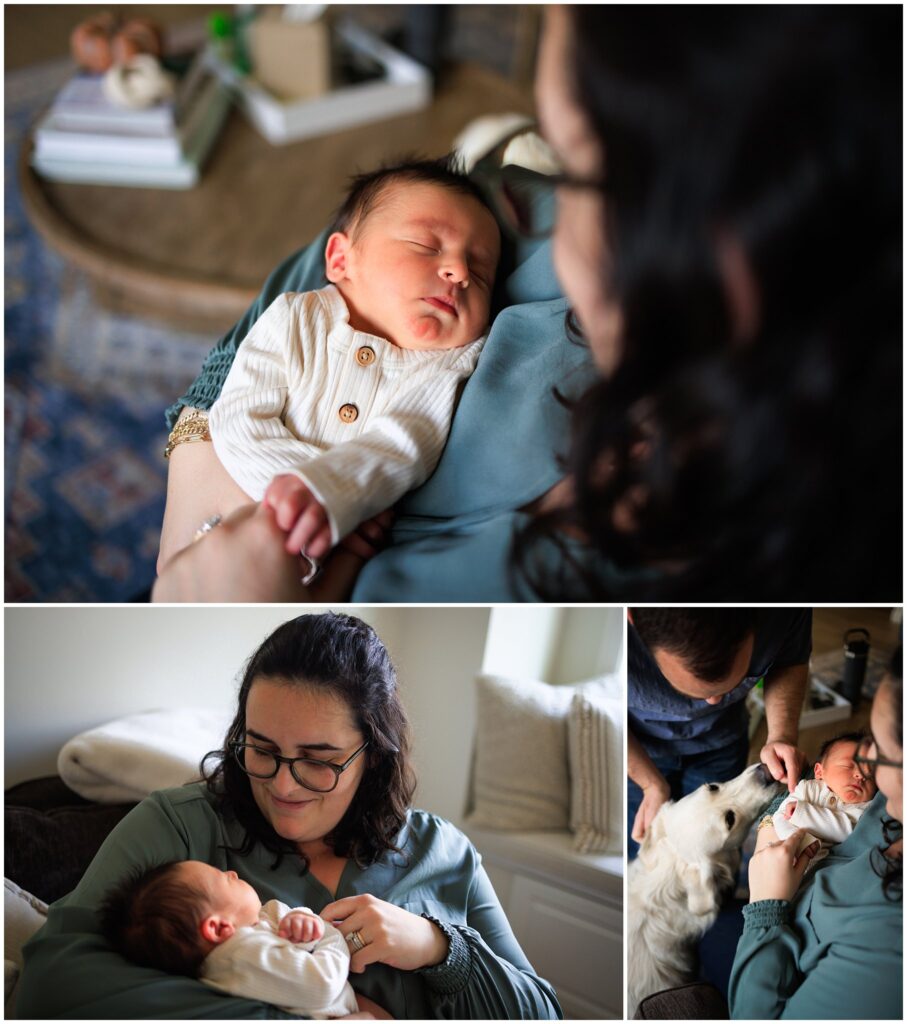 Three images of a newborn baby and his family from a newborn photo session. 